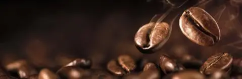 200 cm Hátfalpanel Kávé